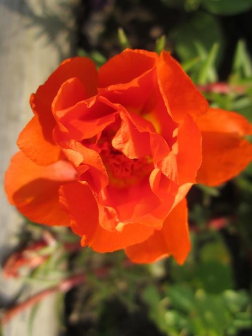 Прислала подписчица сообщества. 07