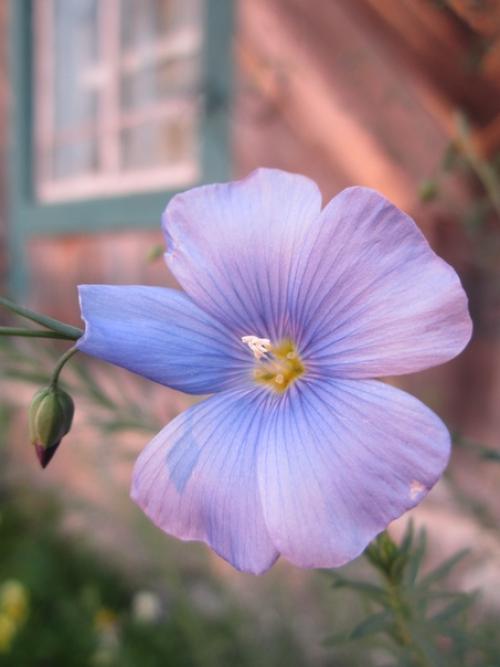 Прислала подписчица сообщества. 02