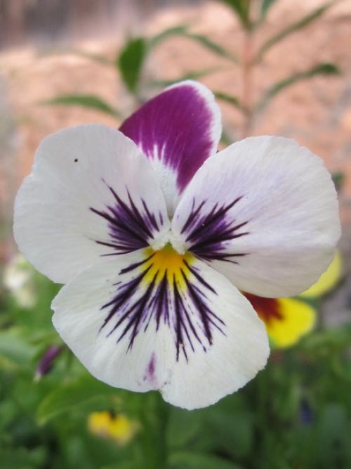 Прислала подписчица сообщества. 01