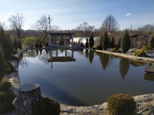 Пруд на участке с водопадом своими руками.