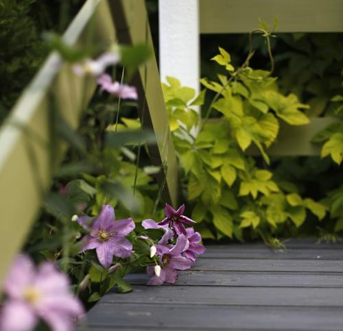 Два года назад мы наконец - то снесли старый сарай - кухню. 04