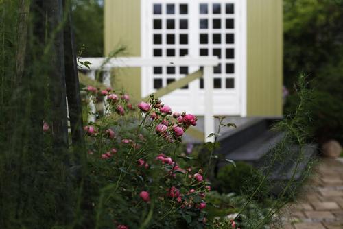 Два года назад мы наконец - то снесли старый сарай - кухню. 03