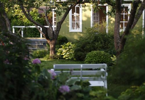 Два года назад мы наконец - то снесли старый сарай - кухню. 06