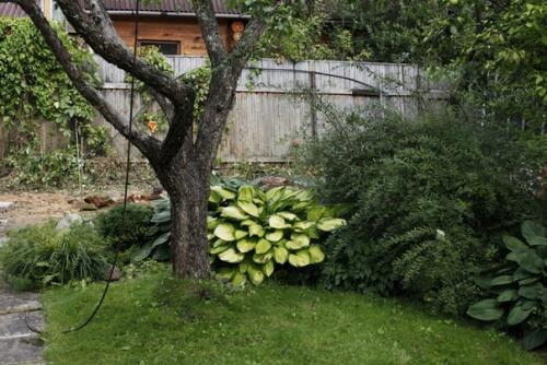 Два года назад мы наконец - то снесли старый сарай - кухню. 09