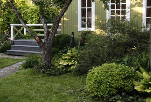 Два года назад мы наконец - то снесли старый сарай - кухню. 02