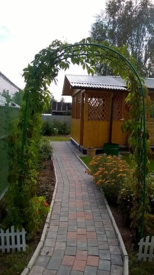 Частный сад Елены Кочетовой. 04