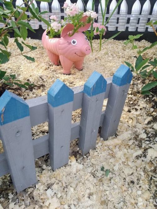 У меня на даче поселились весёлые свинки. 02