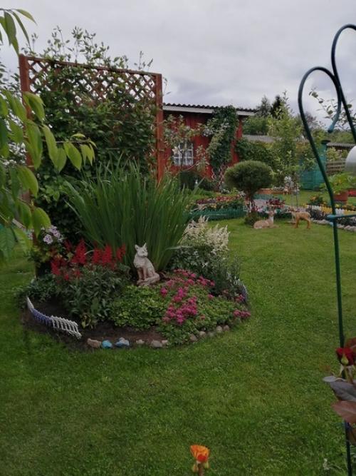 Автор: Елена Суворова. 01