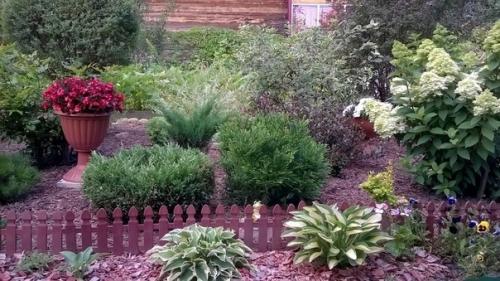 Частный сад Елены Кочетовой. 03