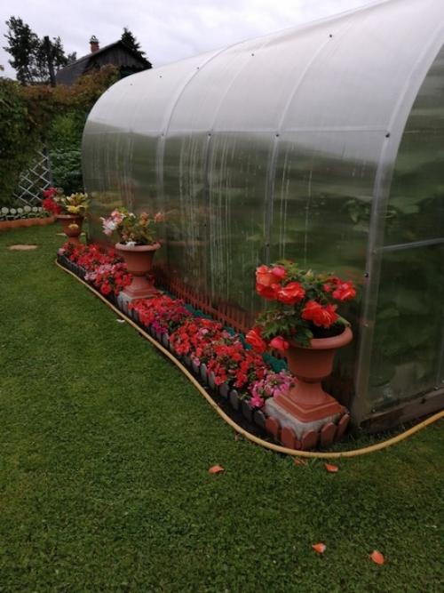 Автор: Елена Суворова. 05