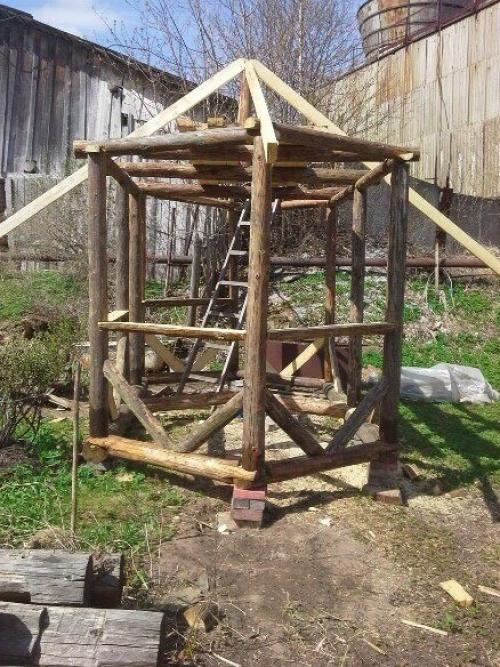 Счастлива семья, в которой общие интересы! 01