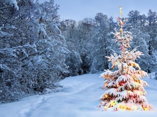 Самый красивый праздник совсем рядом. 03