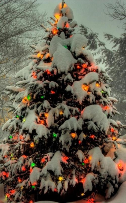 Самый красивый праздник совсем рядом.