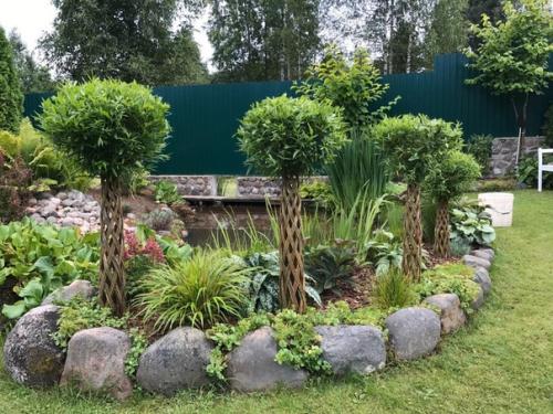 Плетёные живые деревья.