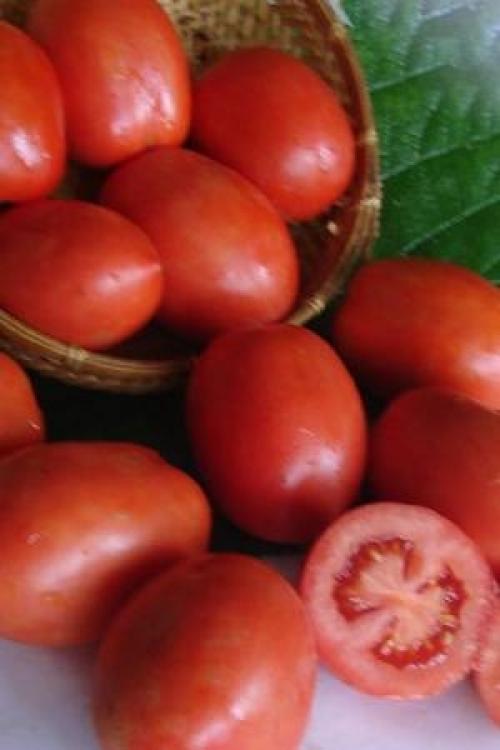 Тройка наименее требовательных к уходу сортов помидоров, идеально подходящих для загородного участка. 01