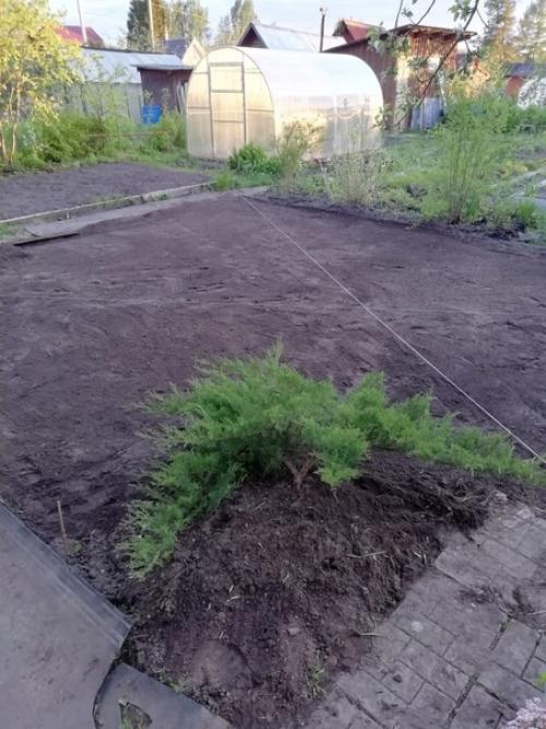 Процесс создания зелёного ковра и результат. 04