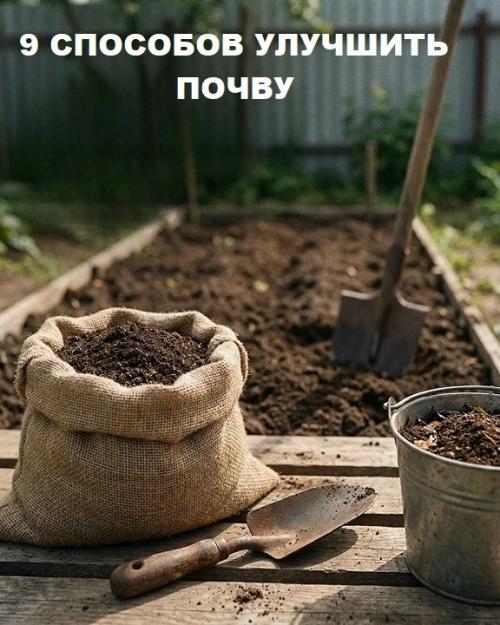 9 проверенных методов для обогащения и улучшения вашего грунта.
