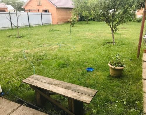 Уважаемые дачники, подскажите, пожалуйста, чем можно украсить место, где растёт уже скажем не газон, а его подобие. 02