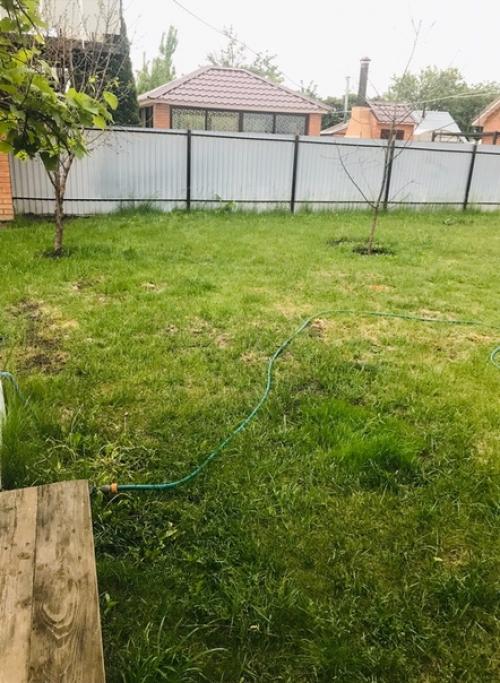 Уважаемые дачники, подскажите, пожалуйста, чем можно украсить место, где растёт уже скажем не газон, а его подобие. 01