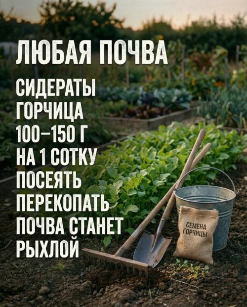 9 проверенных методов для обогащения и улучшения вашего грунта. 05 9 проверенных методов для обогащения и улучшения вашего грунта. 05