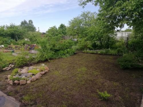 Процесс создания зелёного ковра и результат. 02