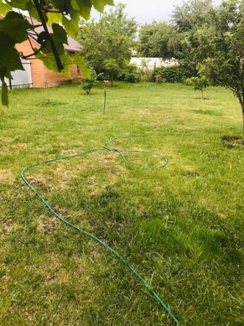 Уважаемые дачники, подскажите, пожалуйста, чем можно украсить место, где растёт уже скажем не газон, а его подобие.