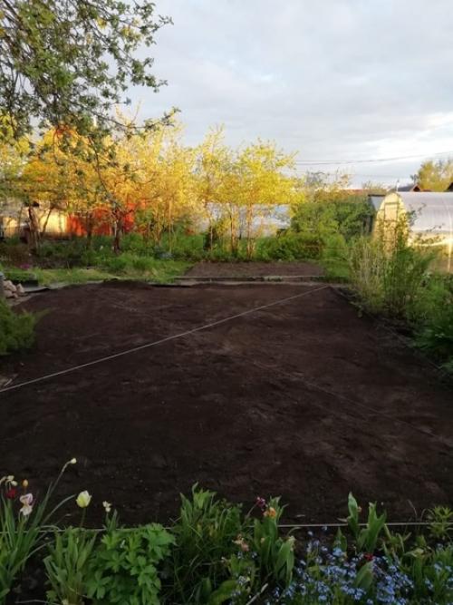 Процесс создания зелёного ковра и результат. 05