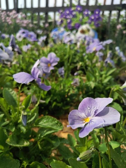 Ручеек, ручеек, ты, как ниточка, идешь. 03