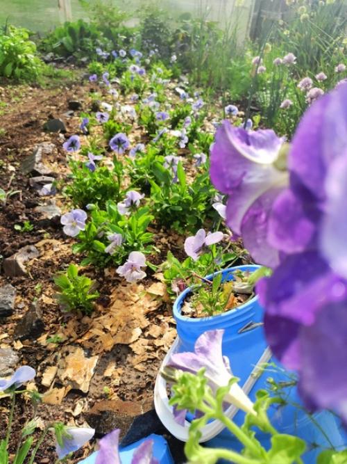 Ручеек, ручеек, ты, как ниточка, идешь. 05