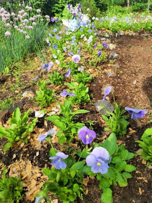 Ручеек, ручеек, ты, как ниточка, идешь. 02