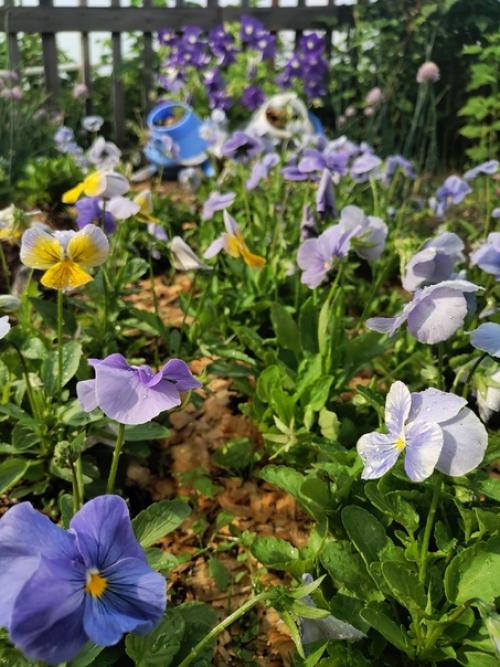 Ручеек, ручеек, ты, как ниточка, идешь.