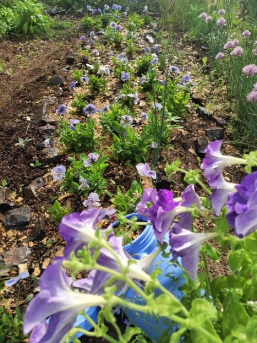 Ручеек, ручеек, ты, как ниточка, идешь. 07