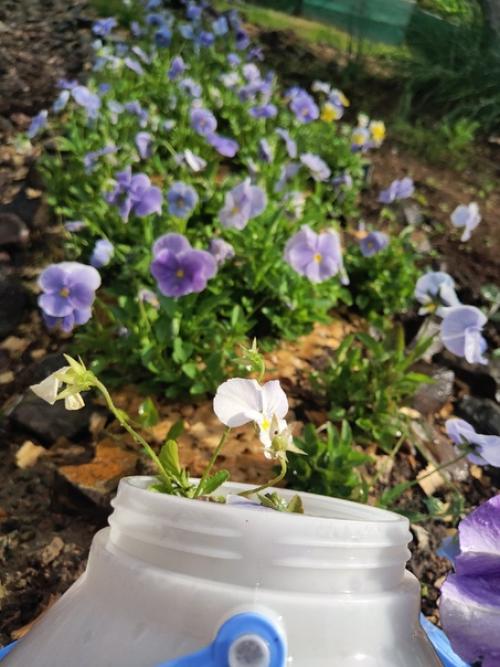 Ручеек, ручеек, ты, как ниточка, идешь. 06