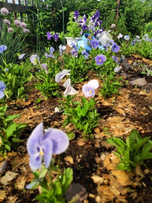 Ручеек, ручеек, ты, как ниточка, идешь. 01