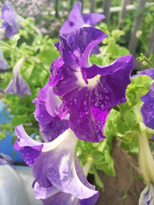 Ручеек, ручеек, ты, как ниточка, идешь. 04