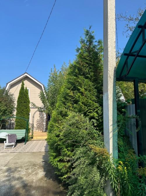 Здравствуйте всем!  Подскажите пожалуйста, может кто разбирается? 01