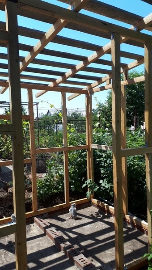 Автор: Александр Шахбазов. 02