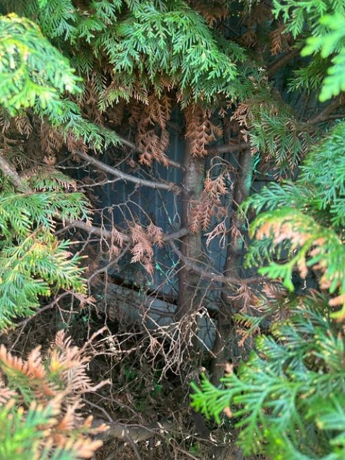 Здравствуйте всем!  Подскажите пожалуйста, может кто разбирается? 04