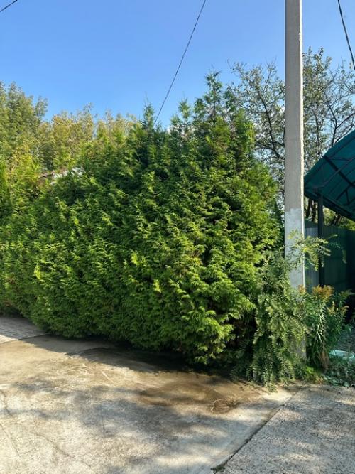 Здравствуйте всем!  Подскажите пожалуйста, может кто разбирается? 02