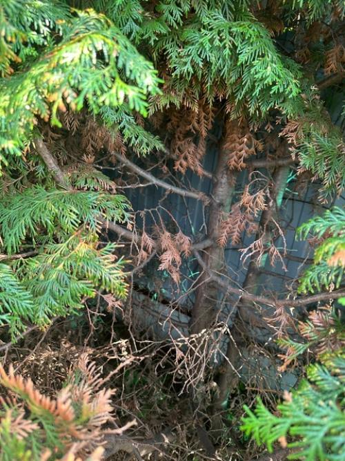 Здравствуйте всем!  Подскажите пожалуйста, может кто разбирается? 05