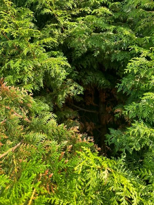 Здравствуйте всем!  Подскажите пожалуйста, может кто разбирается? 03