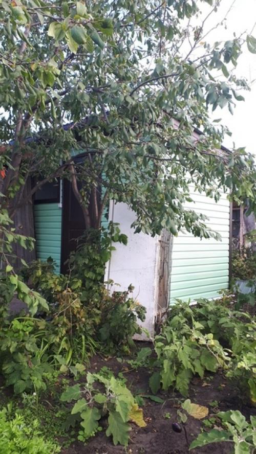 Автор: Александр Шахбазов. 09