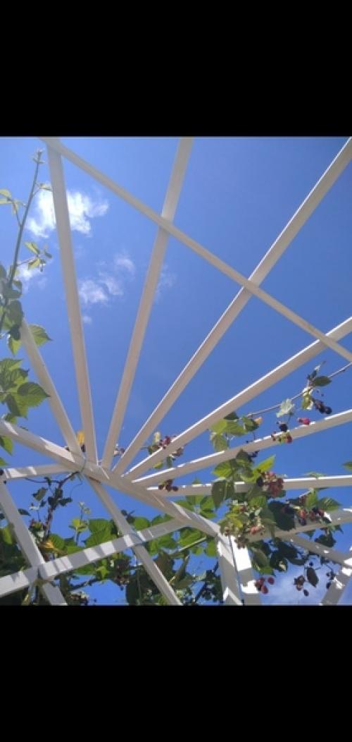 Автор: роман Денисенко. 05