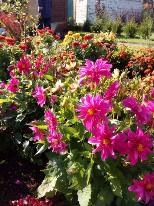 Прислала подписчица сообщества.