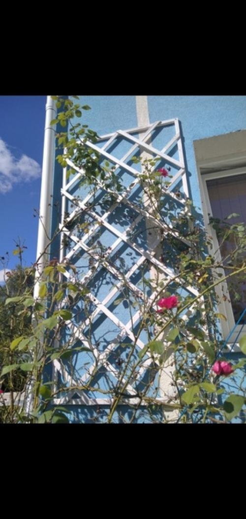 Автор: роман Денисенко. 02